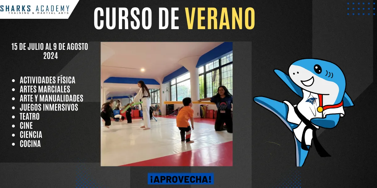 Curso de Verano en Sharks Academy para niños